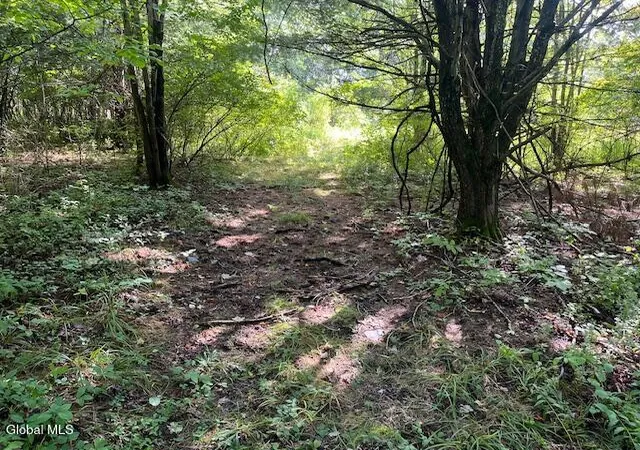 Photo 3 of Land for sale at L6 Burtonville Rd, Fultonville, NY 12072 | MLS# 202626054 | Listing updated on 2026-09-14