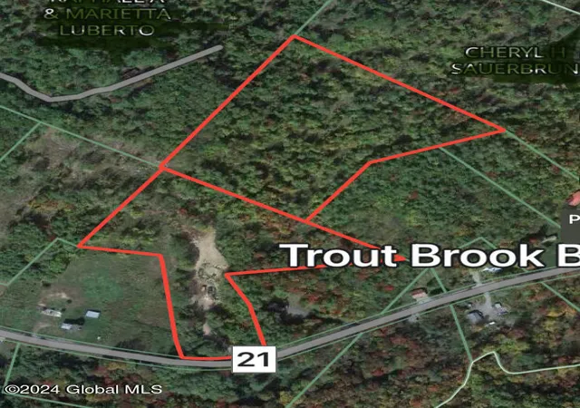 Photo 10 of Land for sale at 885 New Hague Rd, Hague, NY 12836 | MLS# 202626268 | Listing updated on 2026-09-22