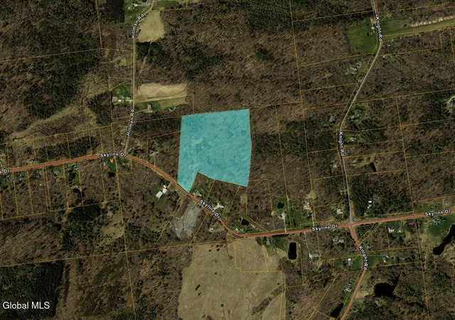 Photo 1 of Land for sale at 6834 Skyline Dr, Delanson, NY 12053 | MLS# 202626353 | Listing updated on 2026-09-17