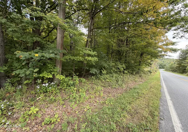 Land for sale at 1542 Cr 21, Whitehall, NY 12887 | MLS# 202626517