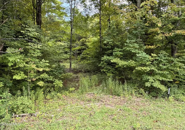 Photo 2 of Land for sale at 1542 Cr 21, Whitehall, NY 12887 | MLS# 202626517 | Listing updated on 2026-09-22