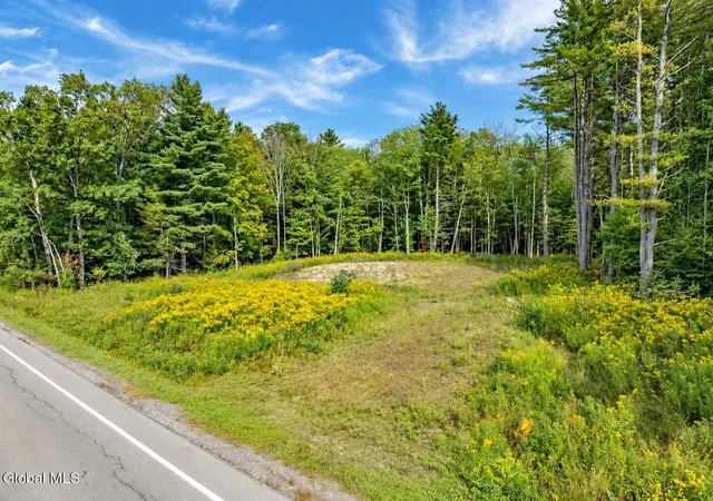 Photo 1 of Land for sale at E County Rd 106, Perth, NY 12010 | MLS# 202626757 | Listing updated on 2026-10-05