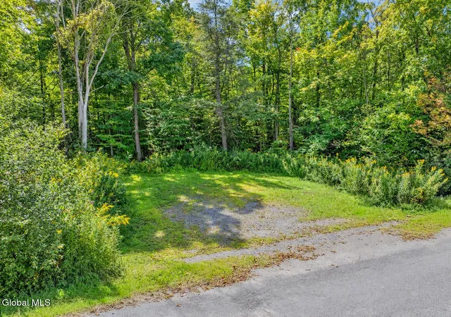 Photo 3 of Land for sale at 595 S Shore Rd, Delanson, NY 12053 | MLS# 202626803 | Listing updated on 2026-09-24