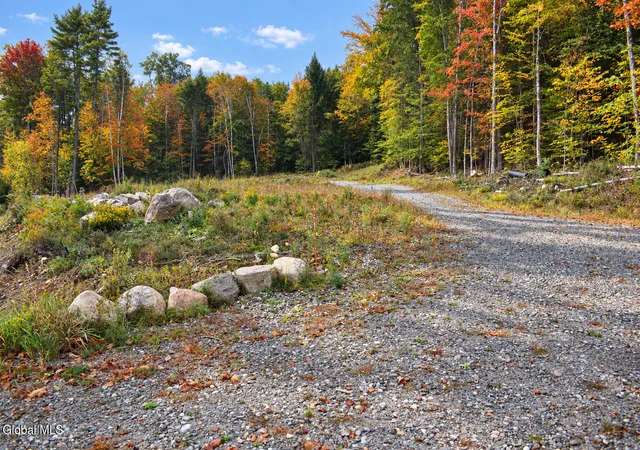 Photo 1 of Land for sale at 231 Valentine Pond Rd, Pottersville, NY 12860 | MLS# 202627380 | Listing updated on 2026-10-23