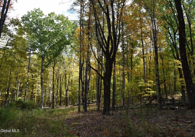 Photo 1 of Land for sale at 294 Beck Rd, Eagle Bridge, NY 12057 | MLS# 202628075 | Listing updated on 2026-10-20