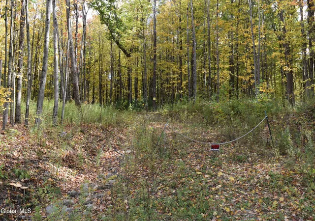 Photo 3 of Land for sale at 294 Beck Rd, Eagle Bridge, NY 12057 | MLS# 202628075 | Listing updated on 2026-10-20
