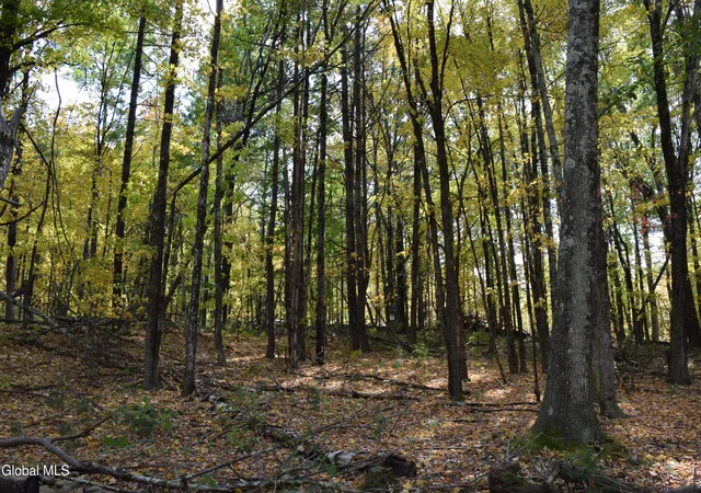 Photo 4 of Land for sale at 294 Beck Rd, Eagle Bridge, NY 12057 | MLS# 202628075 | Listing updated on 2026-10-20
