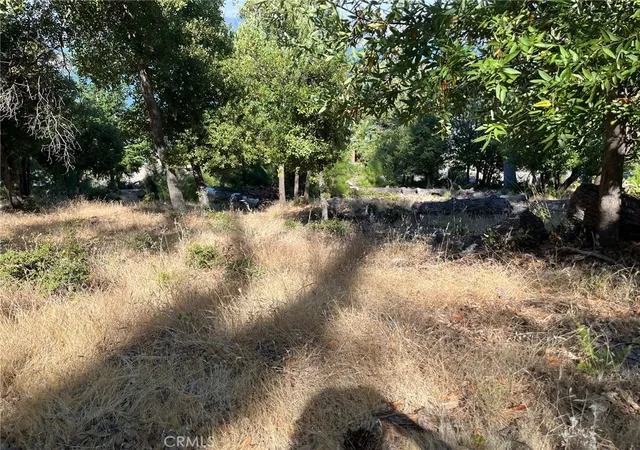 Land for sale at 3607 Pine Terrace Dr, Kelseyville, CA 95451 | MLS# LC24014247