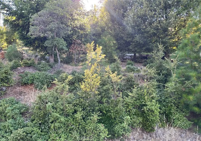 Photo 1 of Land for sale at 3607 Pine Terrace Dr, Kelseyville, CA 95451 | MLS# LC24014247 | Listing updated on 2026-09-15