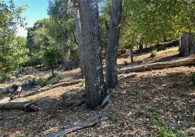 Photo 4 of Land for sale at 3607 Pine Terrace Dr, Kelseyville, CA 95451 | MLS# LC24014247 | Listing updated on 2026-09-15