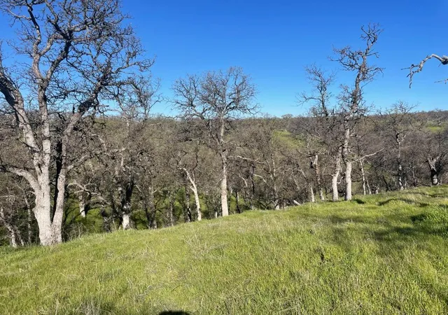 Photo 2 of Land for sale at 108 Lot 8 Of Tract No91 1002 Ln, Red Bluff, CA 96080 | MLS# ML81976138 | Listing updated on 2026-09-15