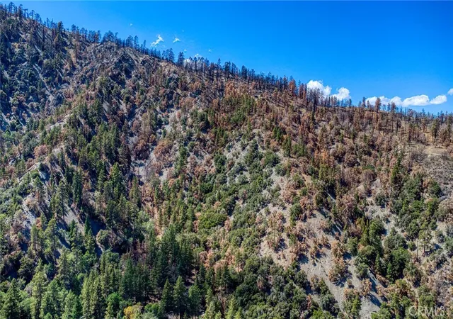 Photo 4 of Land for sale at 999 Acorn Dr, Wrightwood, CA 92397 | MLS# HD25219031 | Listing updated on 2026-09-14