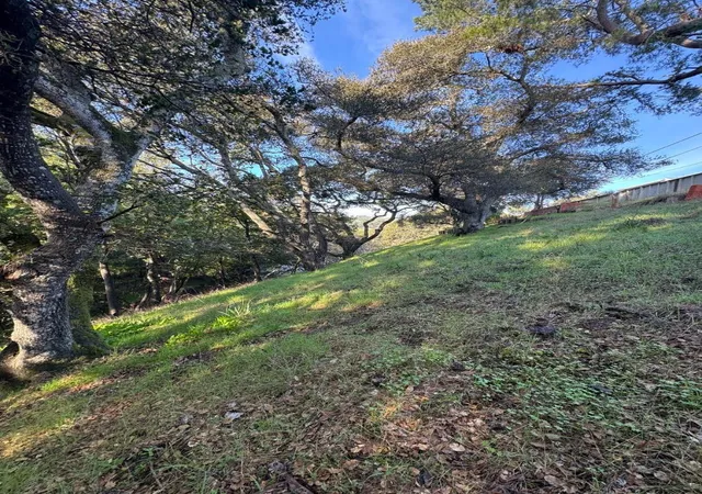 Photo 3 of Land for sale at 0 Parrott Dr, San Mateo, CA 94402 | MLS# ML82032919 | Listing updated on 2026-09-14