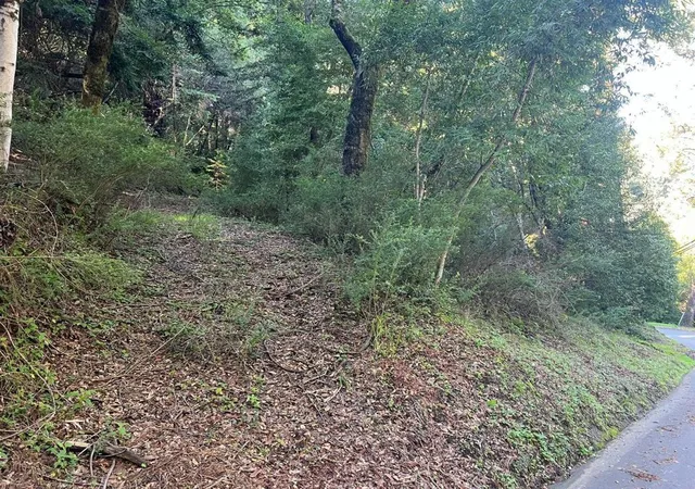 Photo 4 of Land for sale at 559 Patrol Rd, Woodside, CA 94062 | MLS# ML82036894 | Listing updated on 2026-09-15