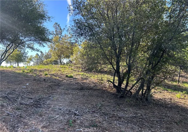 Photo 3 of Land for sale at 0 Patengil, Oroville, CA 95965 | MLS# PA26055280 | Listing updated on 2026-09-14