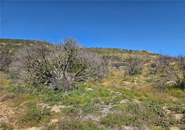 Photo 4 of Land for sale at 0 Howard, Anza, CA 92539 | MLS# SW26058100 | Listing updated on 2026-09-15