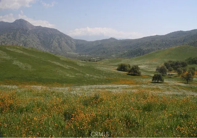 Land for sale at 5570 Caliente Bodfish Rd, Caliente, CA 93518 | MLS# CV26070121