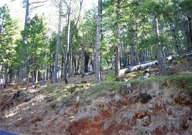 Photo 3 of Sale Pending at 0 Forbestown Rd, Oroville, CA 95966 | MLS# OR26089288 | Listing updated on 2026-09-14