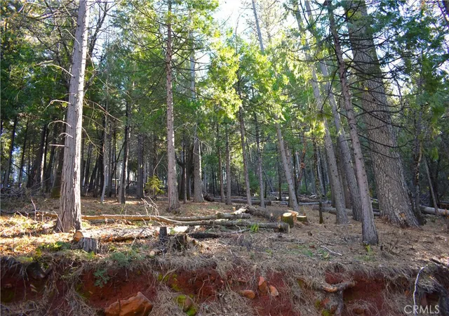 Photo 4 of Sale Pending at 0 Forbestown Rd, Oroville, CA 95966 | MLS# OR26089288 | Listing updated on 2026-09-14