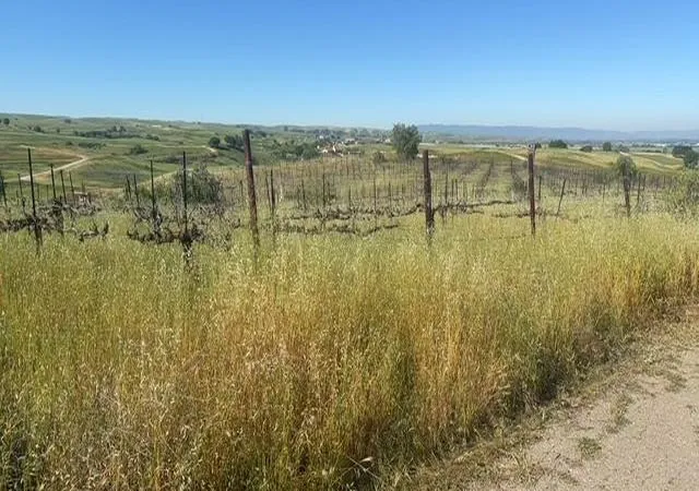 Photo 3 of Single family home for sale at 10011 Tesla Rd, Livermore, CA 94550 | MLS# ML82046806 | Listing updated on 2026-09-14