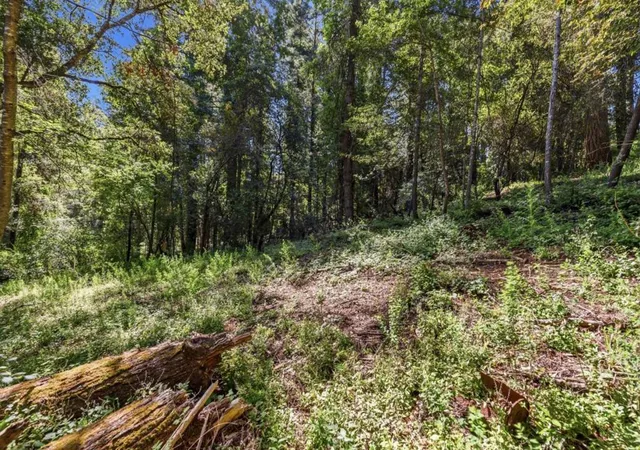 Photo 3 of Land for sale at 0 Garfield Way, Felton, CA 95018 | MLS# ML82050168 | Listing updated on 2026-09-15