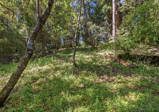 Photo 4 of Land for sale at 0 Garfield Way, Felton, CA 95018 | MLS# ML82050168 | Listing updated on 2026-09-15