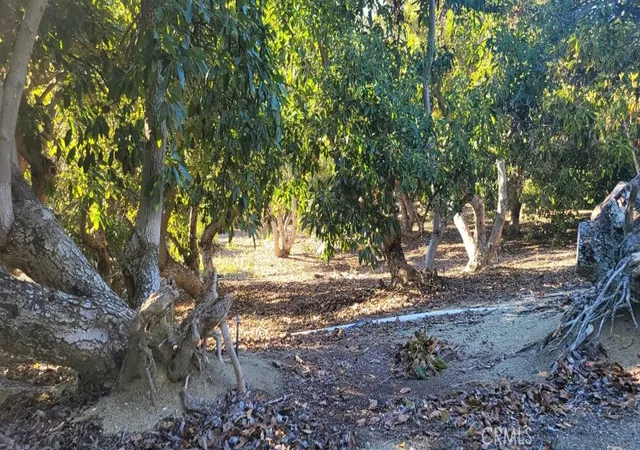 Photo 3 of Sale Pending at 16 Camaron, Temecula, CA 92590 | MLS# SW26135967 | Listing updated on 2026-09-14