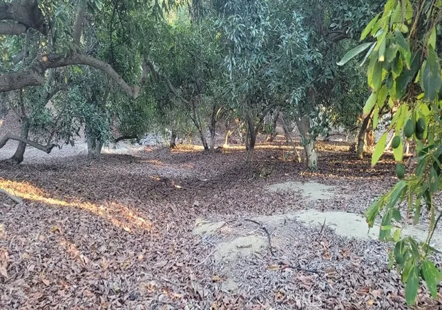 Photo 3 of Sale Pending at 16 Camaron, Temecula, CA 92590 | MLS# SW26135967 | Listing updated on 2026-09-14