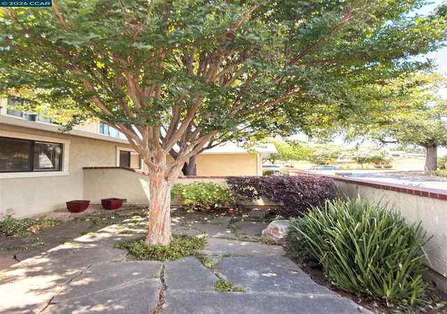 Photo 3 of Single family home for sale at 1640 San Vicente Ave, Napa, CA 94558 | MLS# 41139327 | Listing updated on 2026-09-14