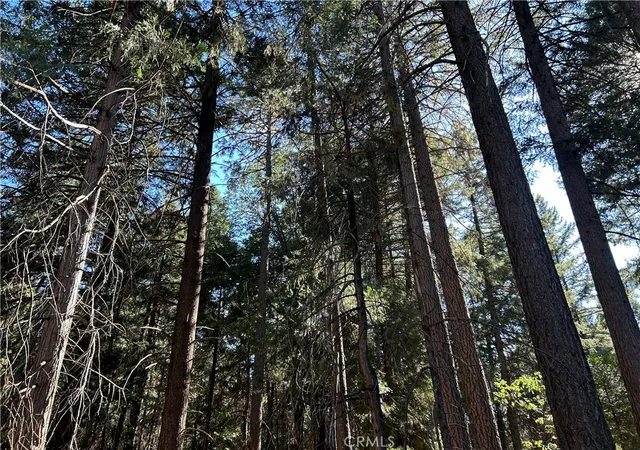 Photo 2 of Land for sale at 0 Magalia, Magalia, CA 95954 | MLS# PA26140685 | Listing updated on 2026-09-14