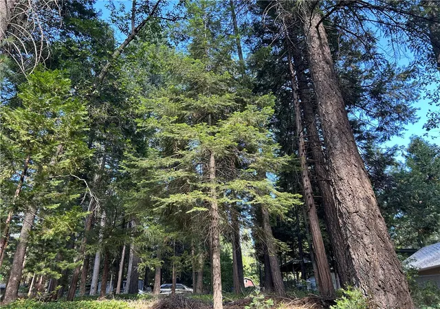 Photo 4 of Land for sale at 14856 Upland, Magalia, CA 95954 | MLS# PA26140686 | Listing updated on 2026-10-03