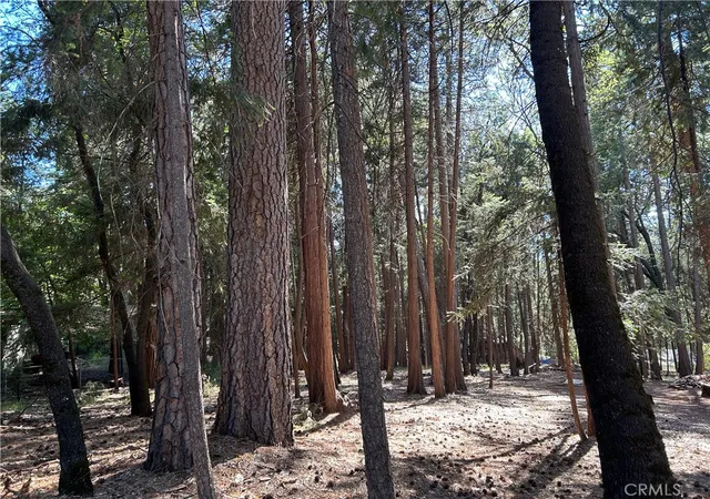 Photo 2 of Land for sale at 0 Bridgeport, Magalia, CA 95954 | MLS# PA26140684 | Listing updated on 2026-09-16