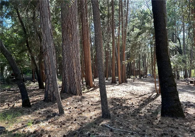 Photo 3 of Land for sale at 0 Bridgeport, Magalia, CA 95954 | MLS# PA26140684 | Listing updated on 2026-09-16