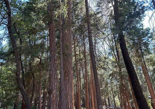 Photo 3 of Land for sale at 0 Bridgeport, Magalia, CA 95954 | MLS# PA26140684 | Listing updated on 2026-09-16