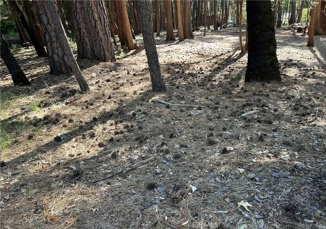 Photo 4 of Land for sale at 0 Bridgeport, Magalia, CA 95954 | MLS# PA26140684 | Listing updated on 2026-09-16