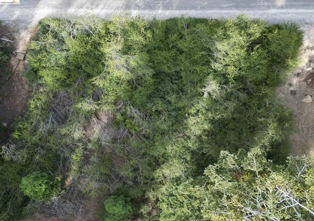 Photo 4 of Land for sale at 33826 Upper Leland Rd, Strawberry, CA 95375 | MLS# 41141906 | Listing updated on 2026-09-15