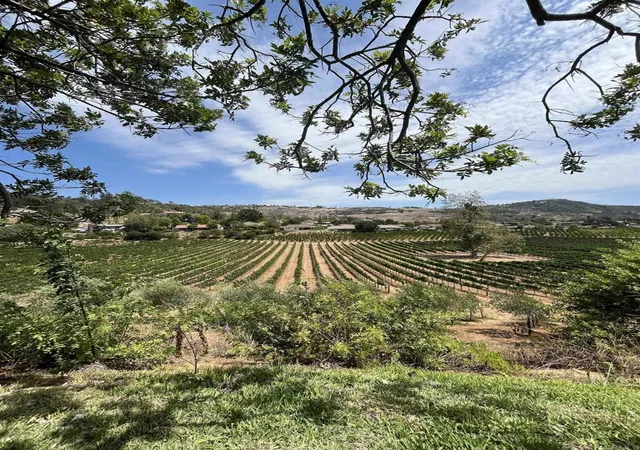 Photo 4 of Single family home for sale at 2829 Golfview Dr, Fallbrook, CA 92028 | MLS# NDP2606873 | Listing updated on 2026-09-14