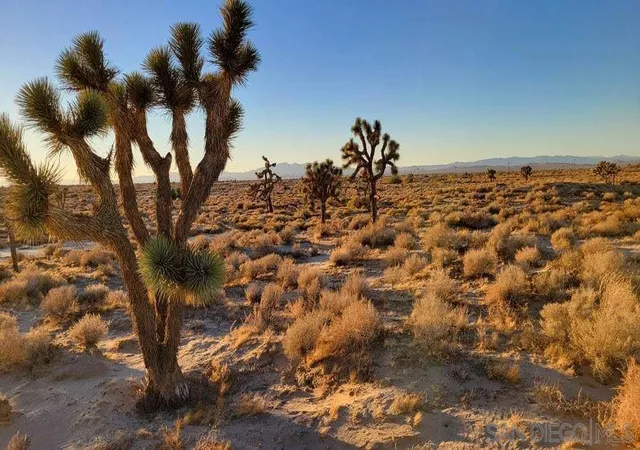 Photo 4 of Land for sale at 12369 E Avenue, Lancaster, CA 93536 | MLS# 260018389SD | Listing updated on 2026-10-07