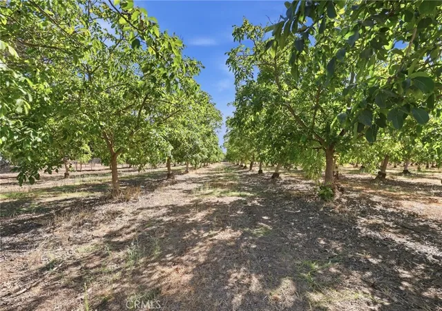 Photo 34 of Single family home for sale at 491 Justeson, Gridley, CA 95948 | MLS# SN26164821 | Listing updated on 2026-09-22