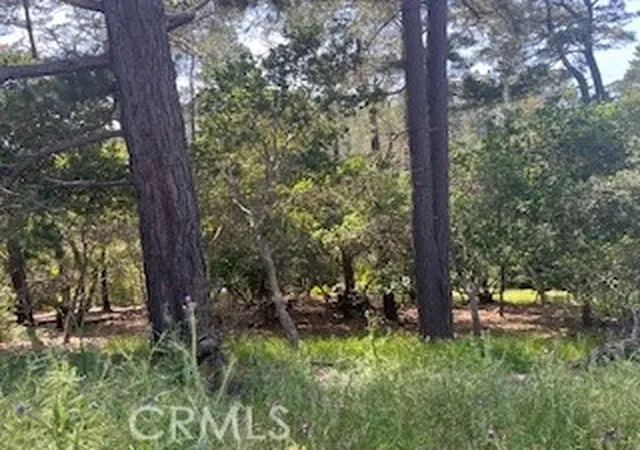 Photo 3 of Land for sale at 0 Bradford Rd, Cambria, CA 93428 | MLS# SC26195859 | Listing updated on 2026-09-14