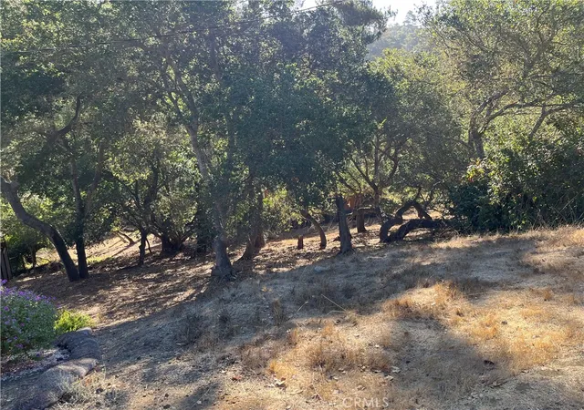 Land for sale at 17 Bradford Rd, Cambria, CA 93428 | MLS# SC26195860