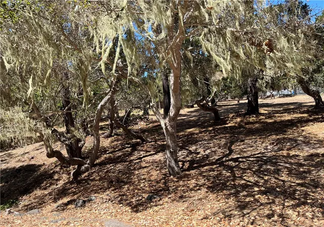 Photo 2 of Land for sale at 34 Kenneth, Cambria, CA 93428 | MLS# SC26195866 | Listing updated on 2026-09-14