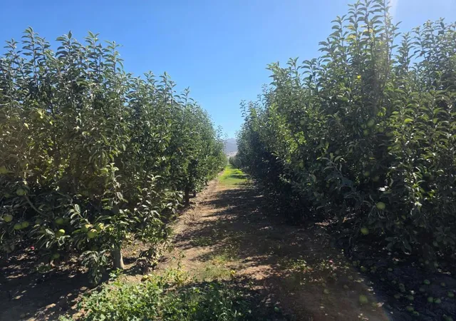 Photo 3 of Land for sale at 0 Olympia Ave, San Juan Bautista, CA 95045 | MLS# ML82060865 | Listing updated on 2026-09-15