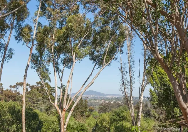 Photo 2 of Single family home for sale at 16238 Via Del Alba, Rancho Santa Fe, CA 92067 | MLS# NDP2608568 | Listing updated on 2026-09-16