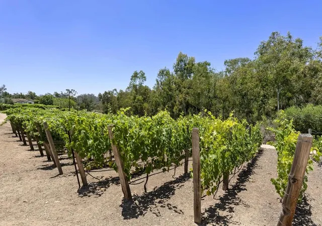 Photo 2 of Mansion for sale at 5293 La Glorieta, Rancho Santa Fe, CA 92067 | MLS# NDP2608615 | Listing updated on 2026-09-14