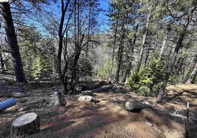 Photo 1 of Land for sale at 23956 Stable Rd, Sonora, CA 95370 | MLS# 41148223 | Listing updated on 2026-09-14
