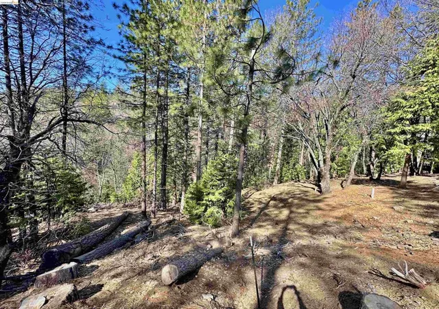 Photo 3 of Land for sale at 23956 Stable Rd, Sonora, CA 95370 | MLS# 41148223 | Listing updated on 2026-09-14