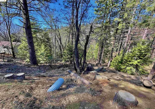 Photo 4 of Land for sale at 23956 Stable Rd, Sonora, CA 95370 | MLS# 41148223 | Listing updated on 2026-09-14