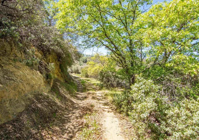 Photo 4 of Land for sale at 17 Bobcat Trl, Santa Ysabel, CA 92070 | MLS# NDP2608636 | Listing updated on 2026-09-14