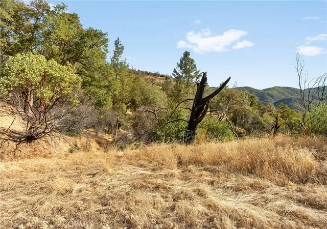 Photo 4 of Land for sale at 0 Spence, Oroville, CA 95966 | MLS# SN26200158 | Listing updated on 2026-09-16